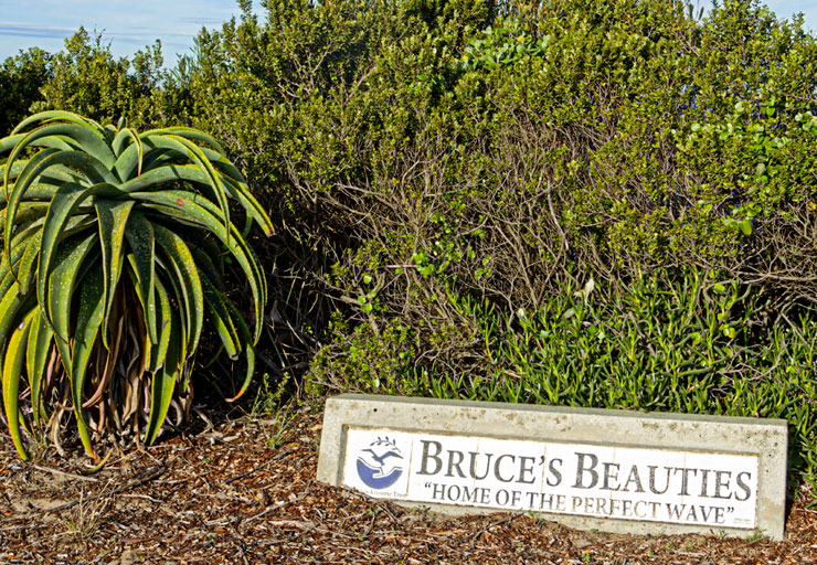 Before there were surfers: The Discovery of surf at St Francis